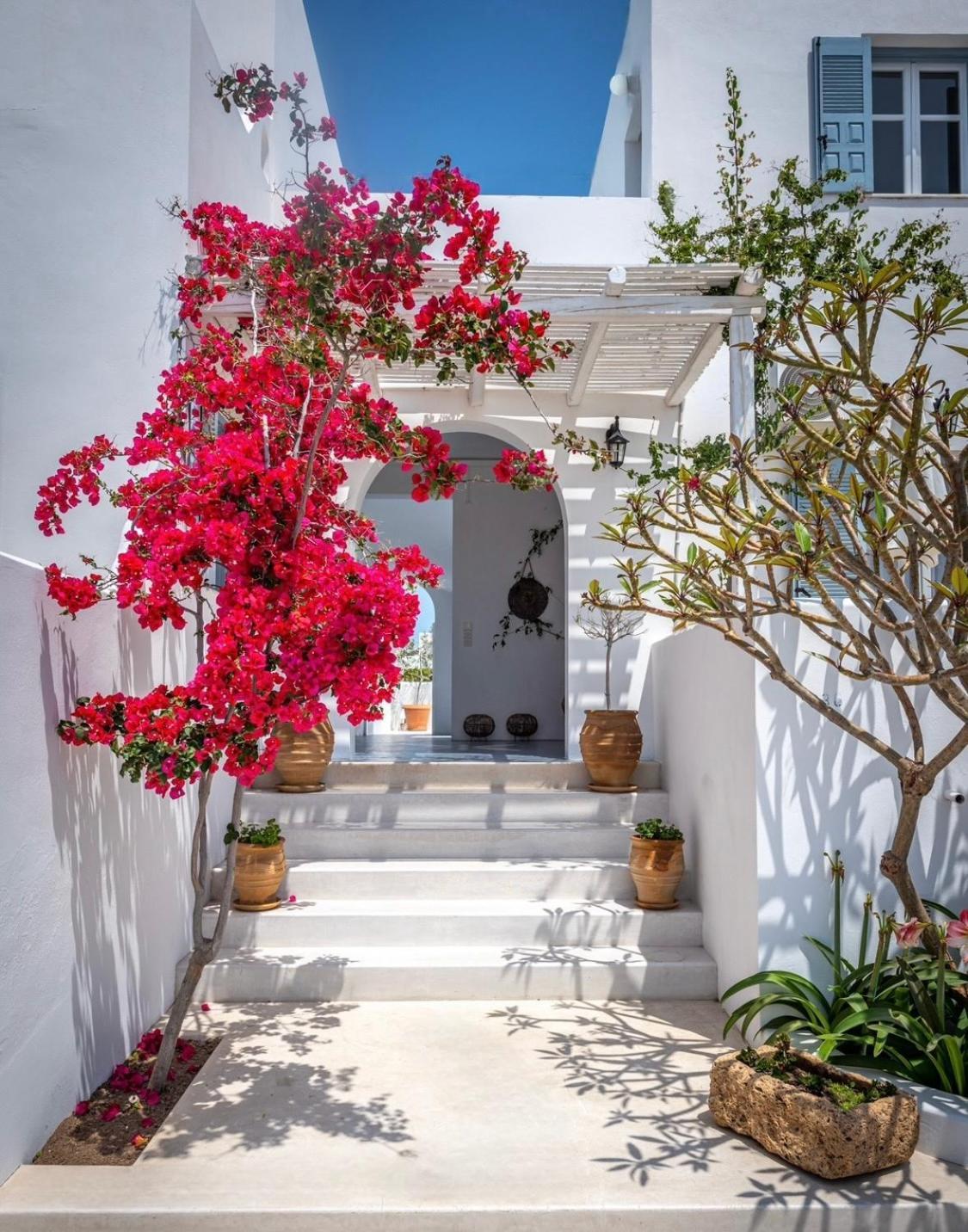 Anita Rooms & Suites Milos Адамас Екстер'єр фото